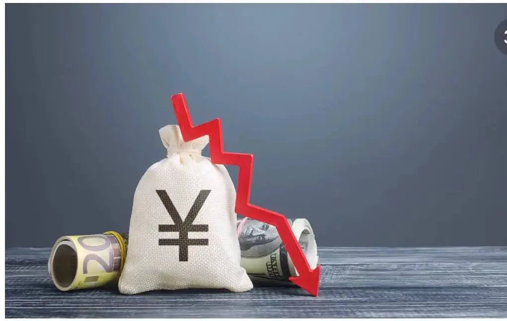 江南大学马骁简介