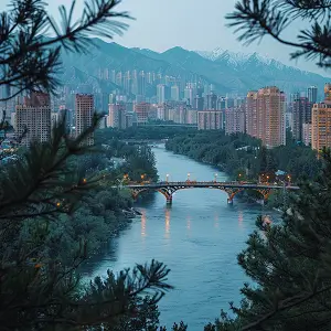 中南大学刘佳豪简介