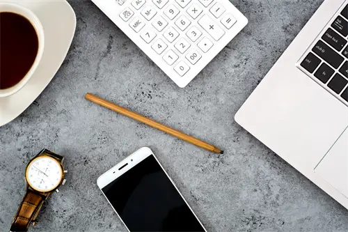 地质大学付莉简介