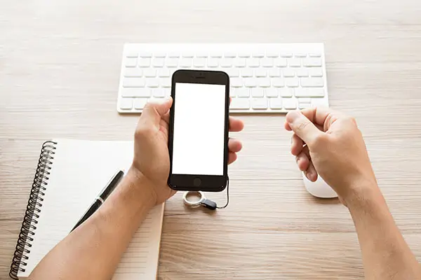 山东建筑大学楚云飞简介