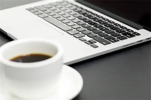 东莞大学婷婷老师简介